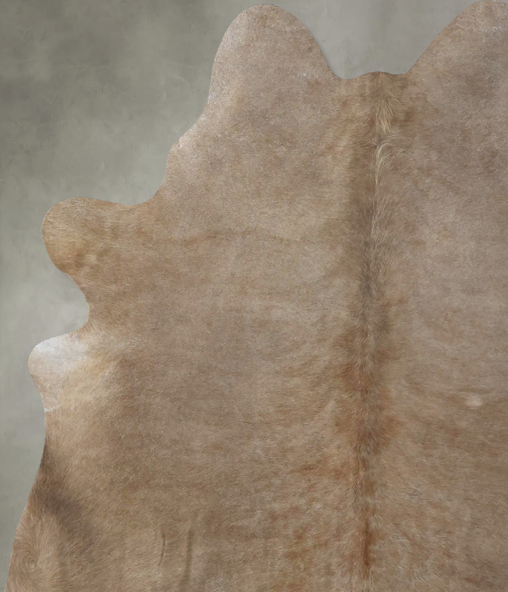 Taupe X-Large Brazilian Cowhide Rug 7'1"H x 5'9"W #B19048 by Hudson Hides
