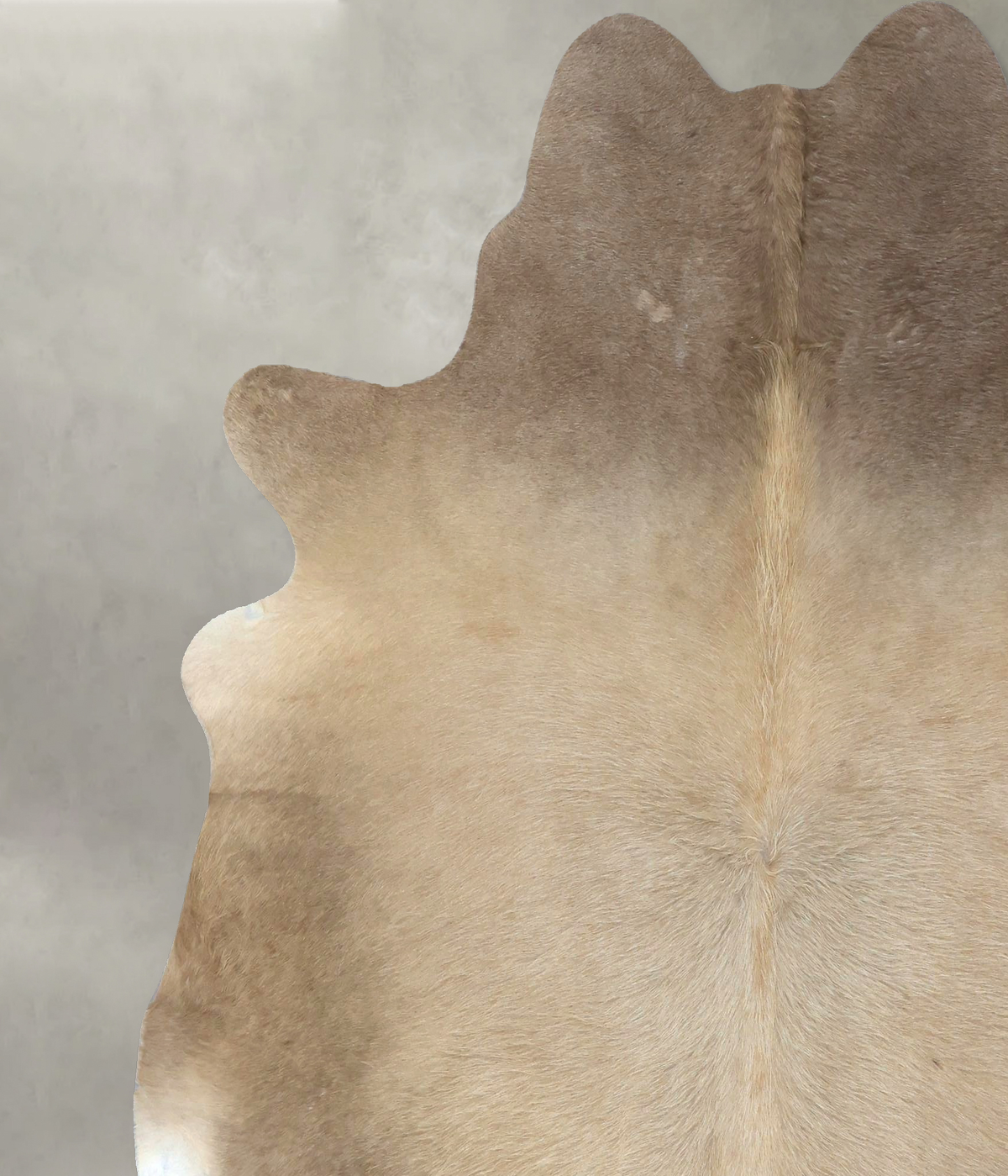 Taupe X-Large Brazilian Cowhide Rug 7'3"H x 6'8"W #B19050 by Hudson Hides