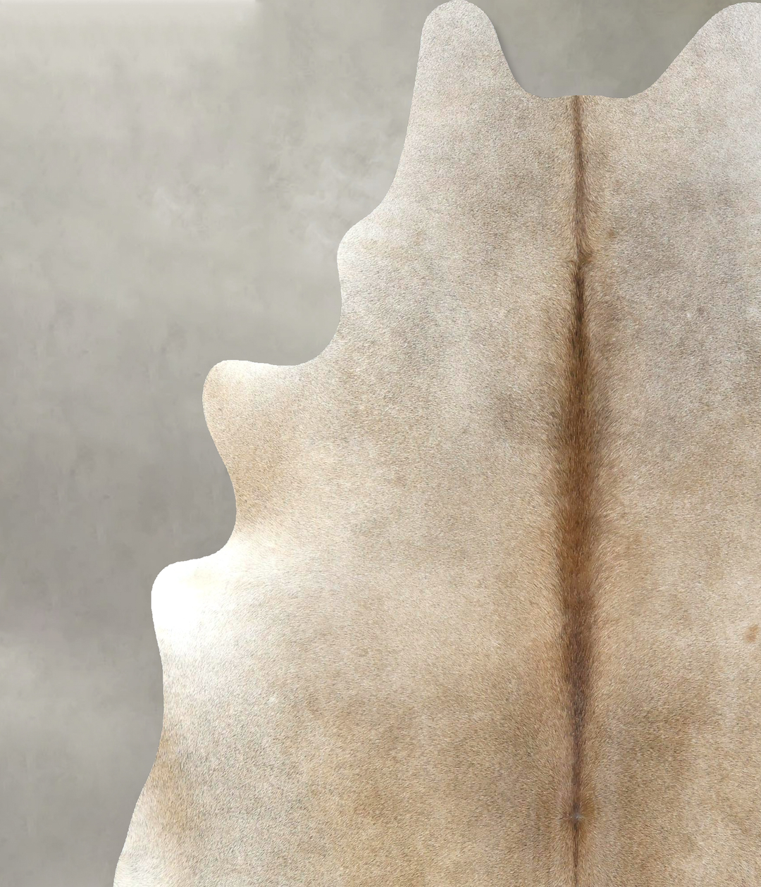Light Caramel XX-Large Brazilian Cowhide Rug 7'9"H x 6'8"W #B19057 by 
