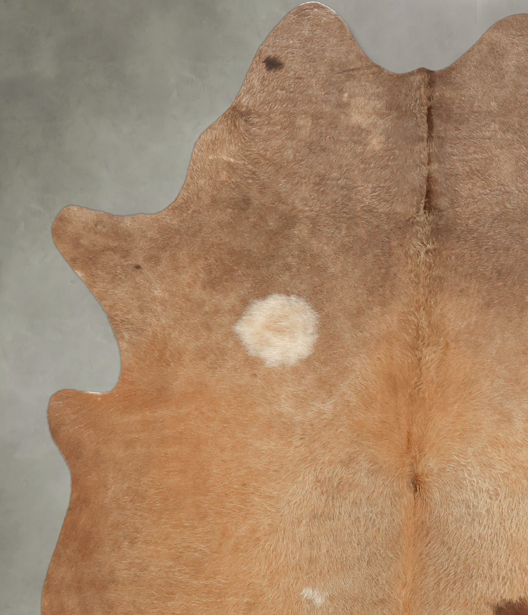 Light Caramel Large Brazilian Cowhide Rug 6'3"H x 5'3"W #B1908 by Huds