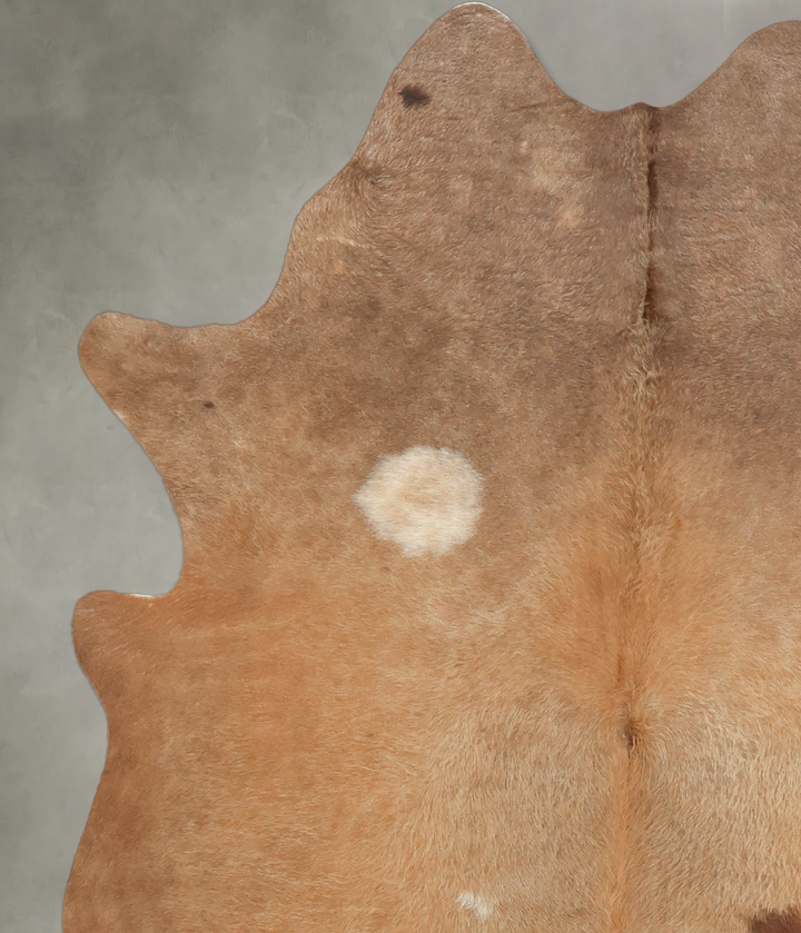 Light Caramel Large Brazilian Cowhide Rug 6'3"H x 5'3"W #B1908 by Hudson Hides