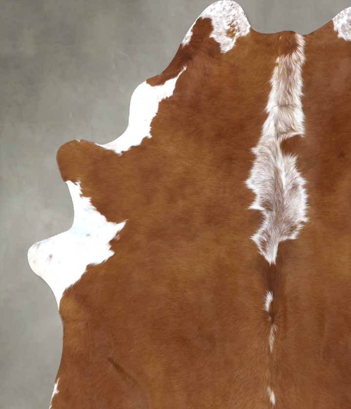 Brown and White Regular X-Large Brazilian Cowhide Rug 7'3"H x 5'11"W #B19084 by Hudson Hides