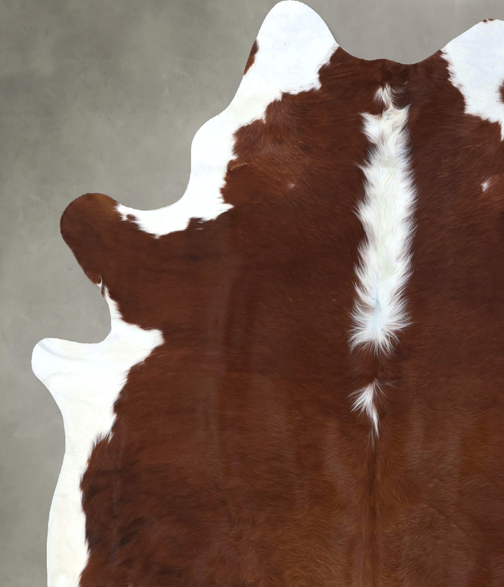Hereford X-Large Brazilian Cowhide Rug 7'6"H x 6'1"W #B19086 by Hudson Hides