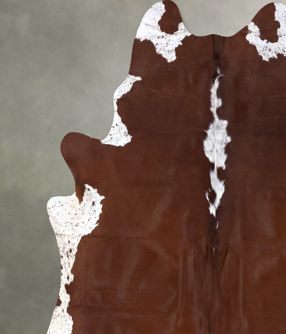 Hereford X-Large Brazilian Cowhide Rug 7'4"H x 6'6"W #B19087 by Hudson Hides