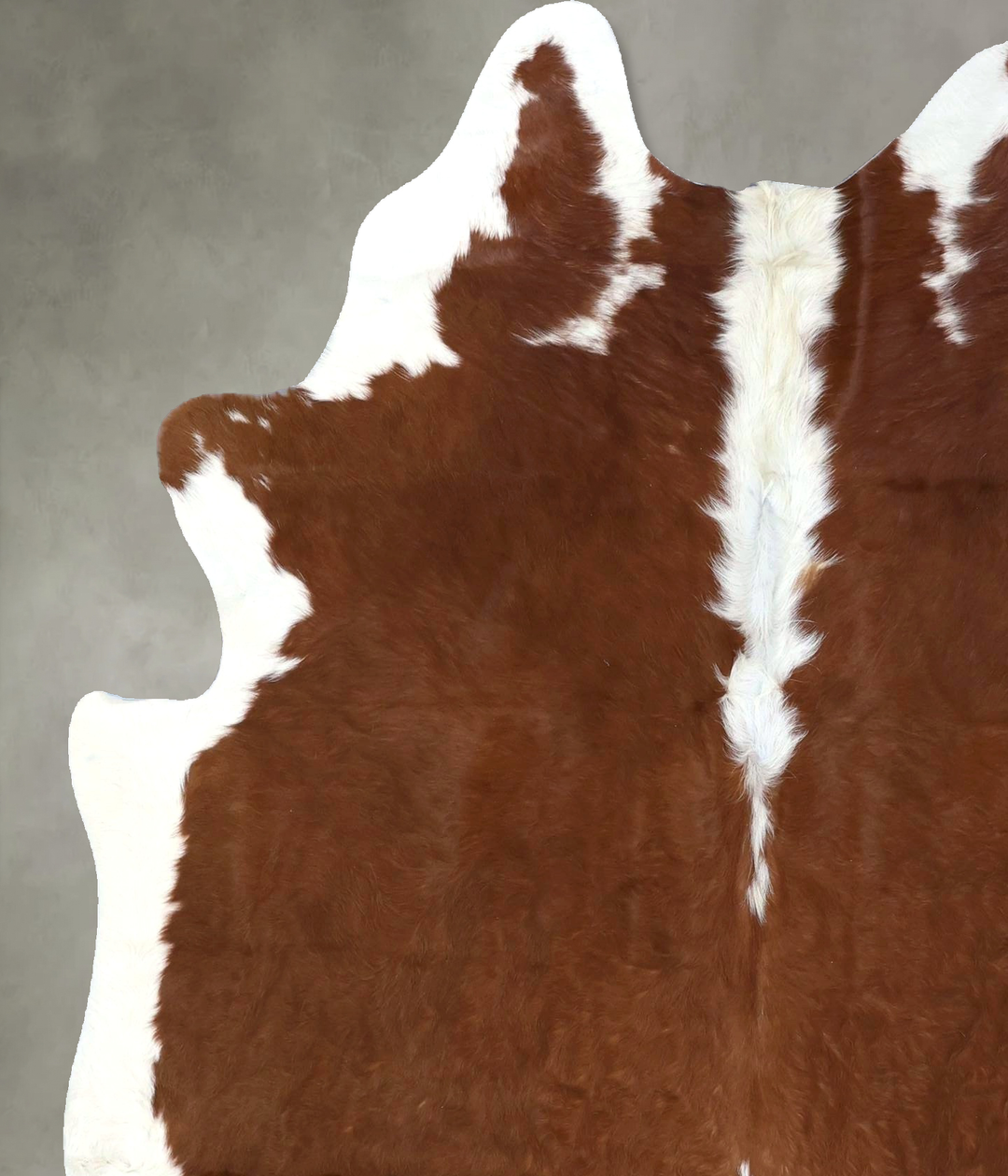Hereford Large Brazilian Cowhide Rug 6'9"H x 5'8"W #B19088 by Hudson H