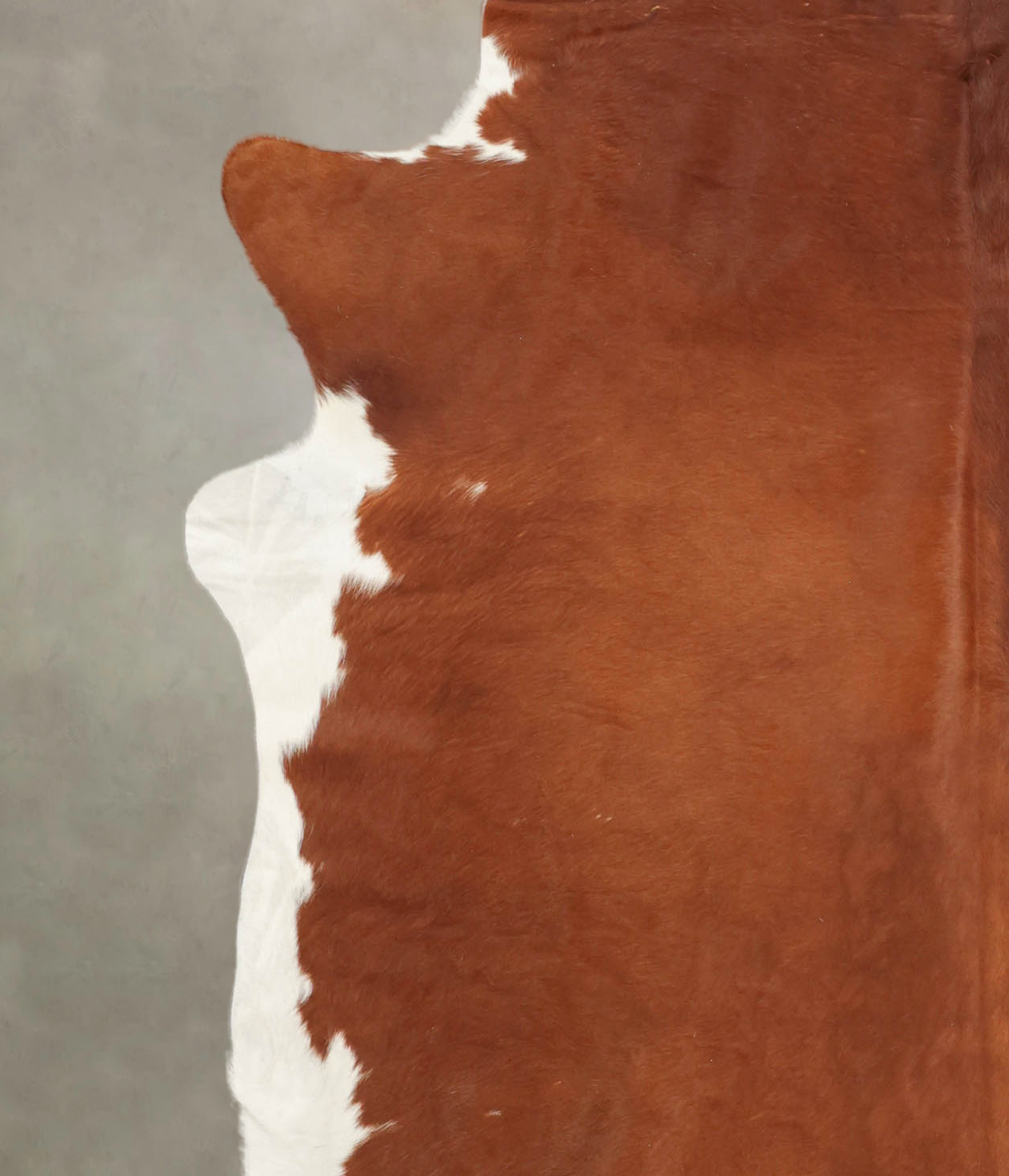 Brown and White Regular Cowhide Rug #B1910