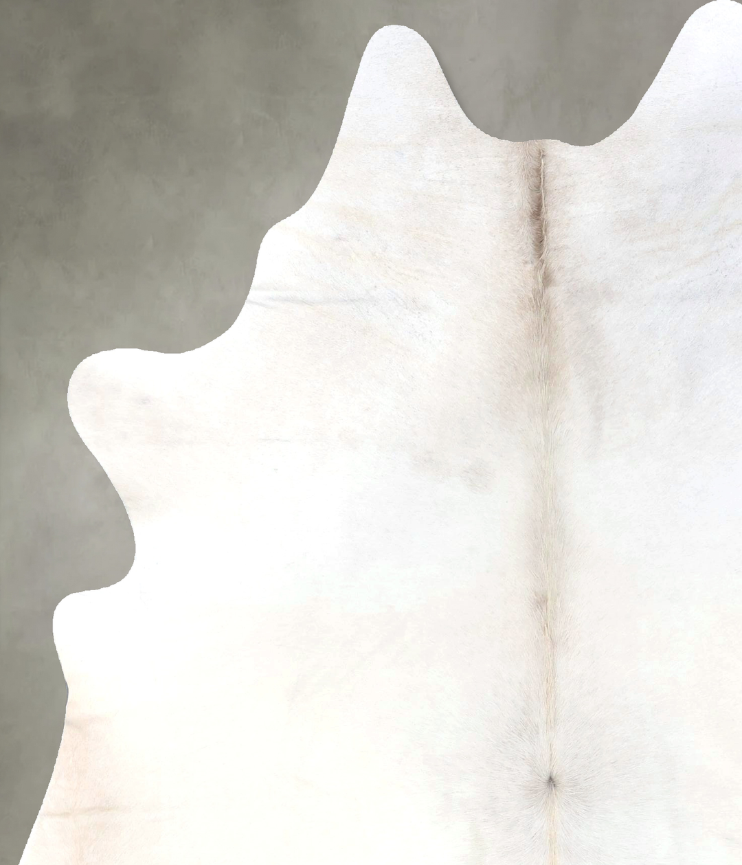 Ivory with Beige X-Large Brazilian Cowhide Rug 7'0"H x 5'9"W #B19102 b