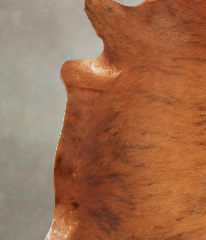 Medium Brindle X-Large Brazilian Cowhide Rug 7'3"H x 6'7"W #B1926 by Hudson Hides