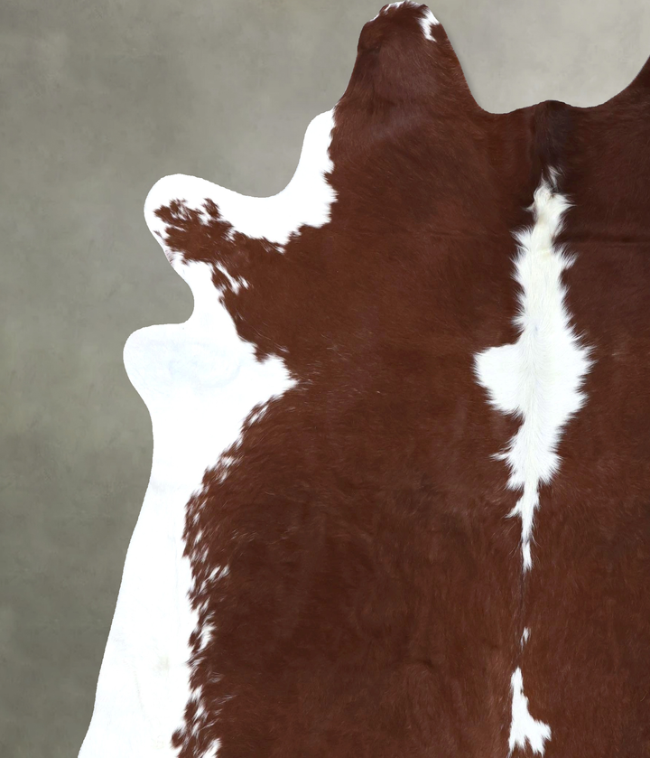 Hereford XX-Large Brazilian Cowhide Rug 7'11"H x 6'11"W #B19287 by Hudson Hides