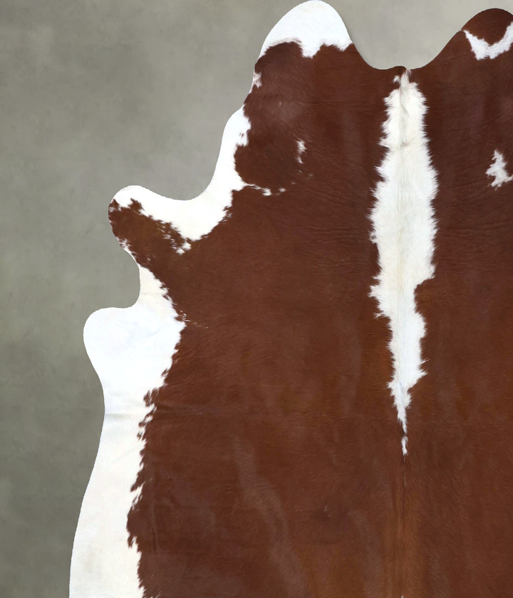 Hereford XX-Large Brazilian Cowhide Rug 7'9"H x 7'4"W #B19288 by Hudson Hides