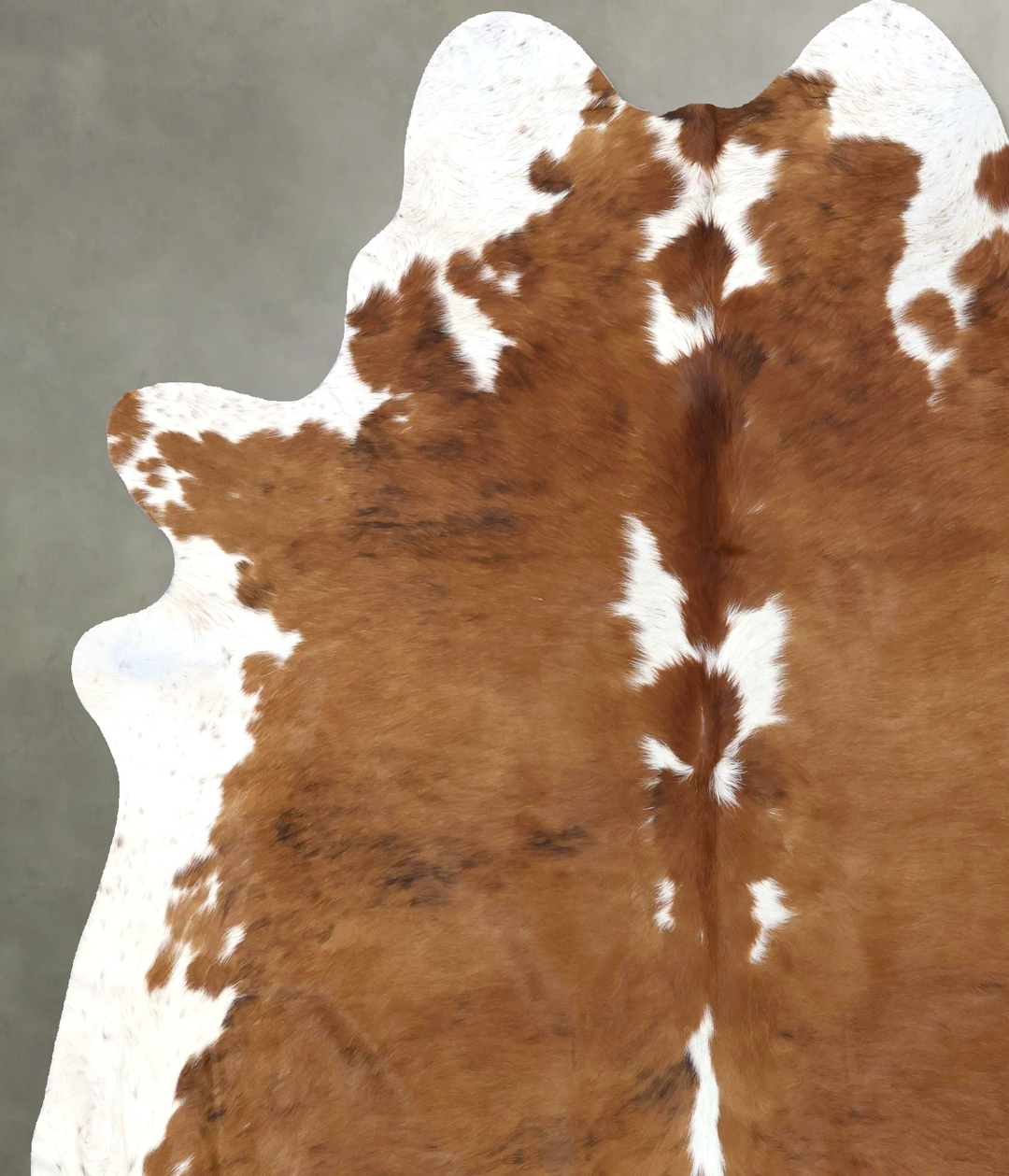 Tricolor X-Large Brazilian Cowhide Rug 7'4"H x 6'5"W #B19294 by Hudson