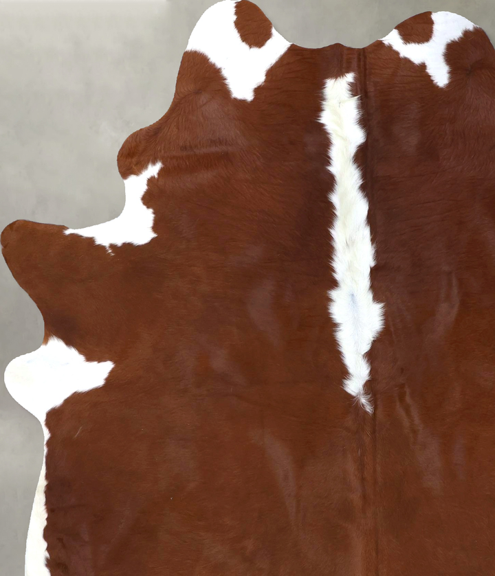 Hereford X-Large Brazilian Cowhide Rug 7'2"H x 5'8"W #B19295 by Hudson Hides