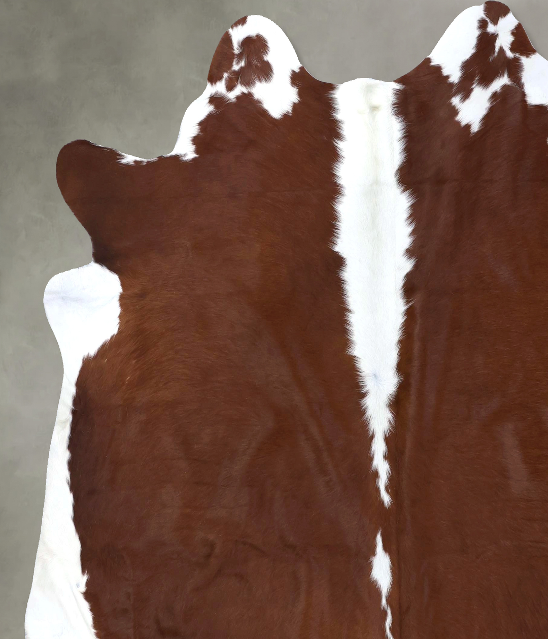 Hereford XX-Large Brazilian Cowhide Rug 7'7"H x 7'1"W #B19299 by Hudso
