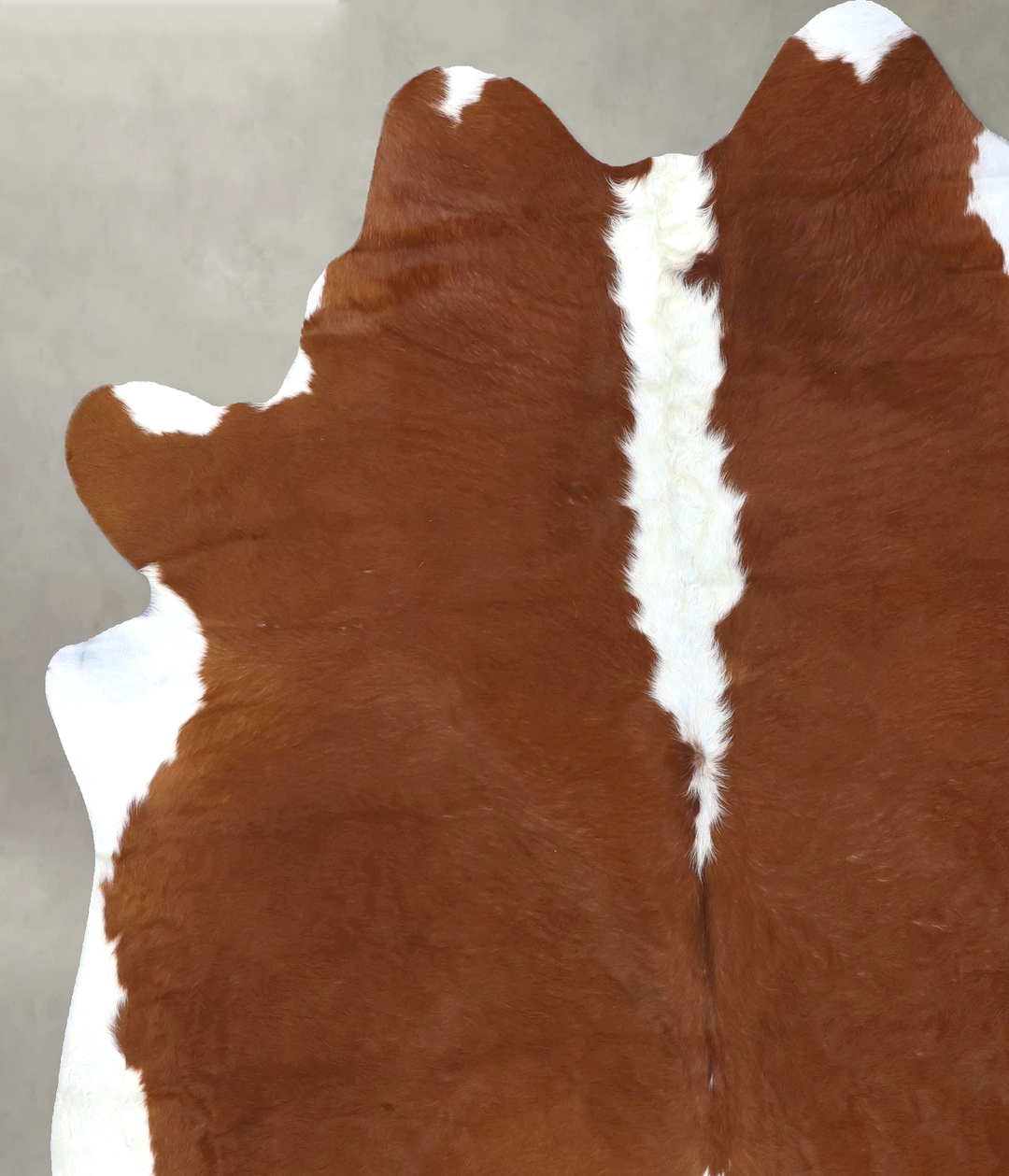Hereford XX-Large Brazilian Cowhide Rug 7'10"H x 6'11"W #B19300 by Hud