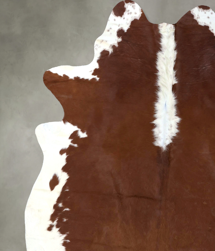 Hereford XX-Large Brazilian Cowhide Rug 8'0"H x 6'8"W #B19301 by Hudson Hides