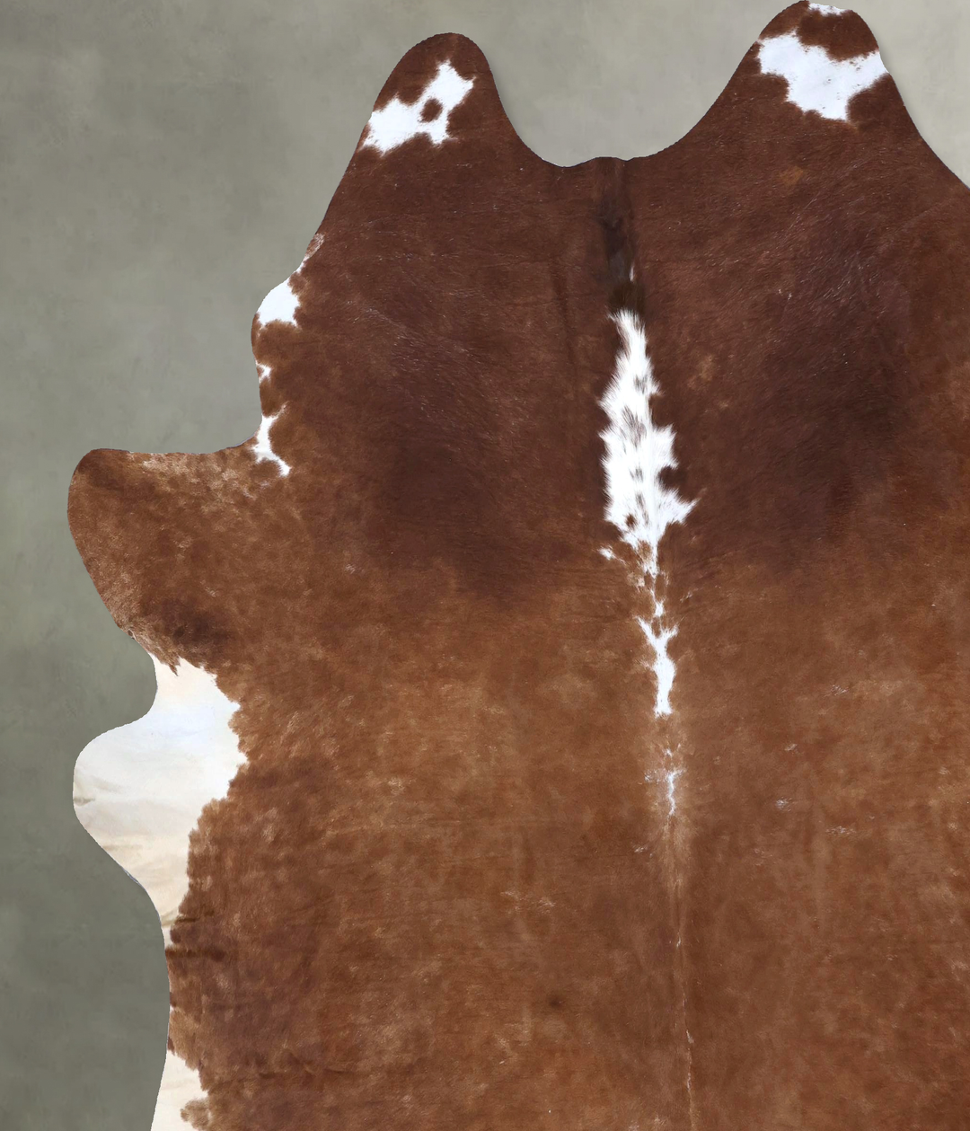 Brown and White Regular XX-Large Brazilian Cowhide Rug 8'6"H x 8'0"W #
