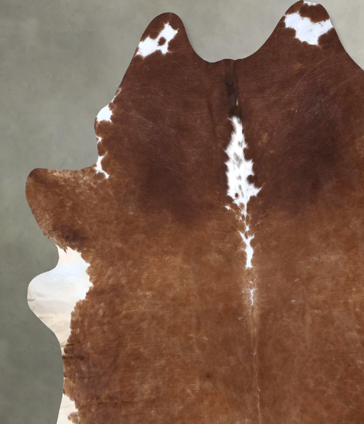 Brown and White Regular XX-Large Brazilian Cowhide Rug 8'6"H x 8'0"W #B19302 by Hudson Hides