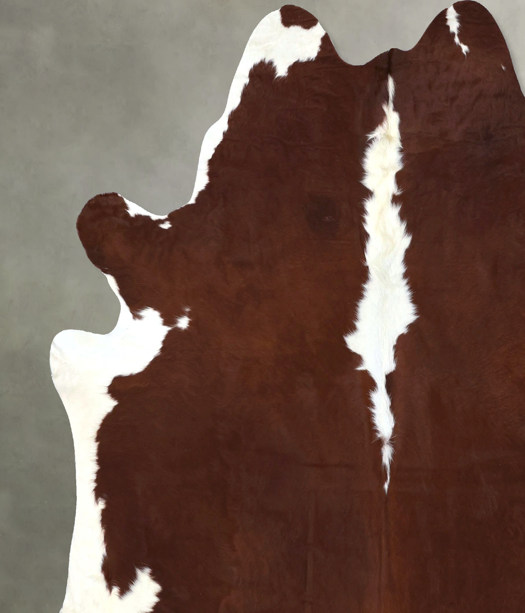 Hereford XX-Large Brazilian Cowhide Rug 8'2"H x 7'2"W #B19304 by Hudso