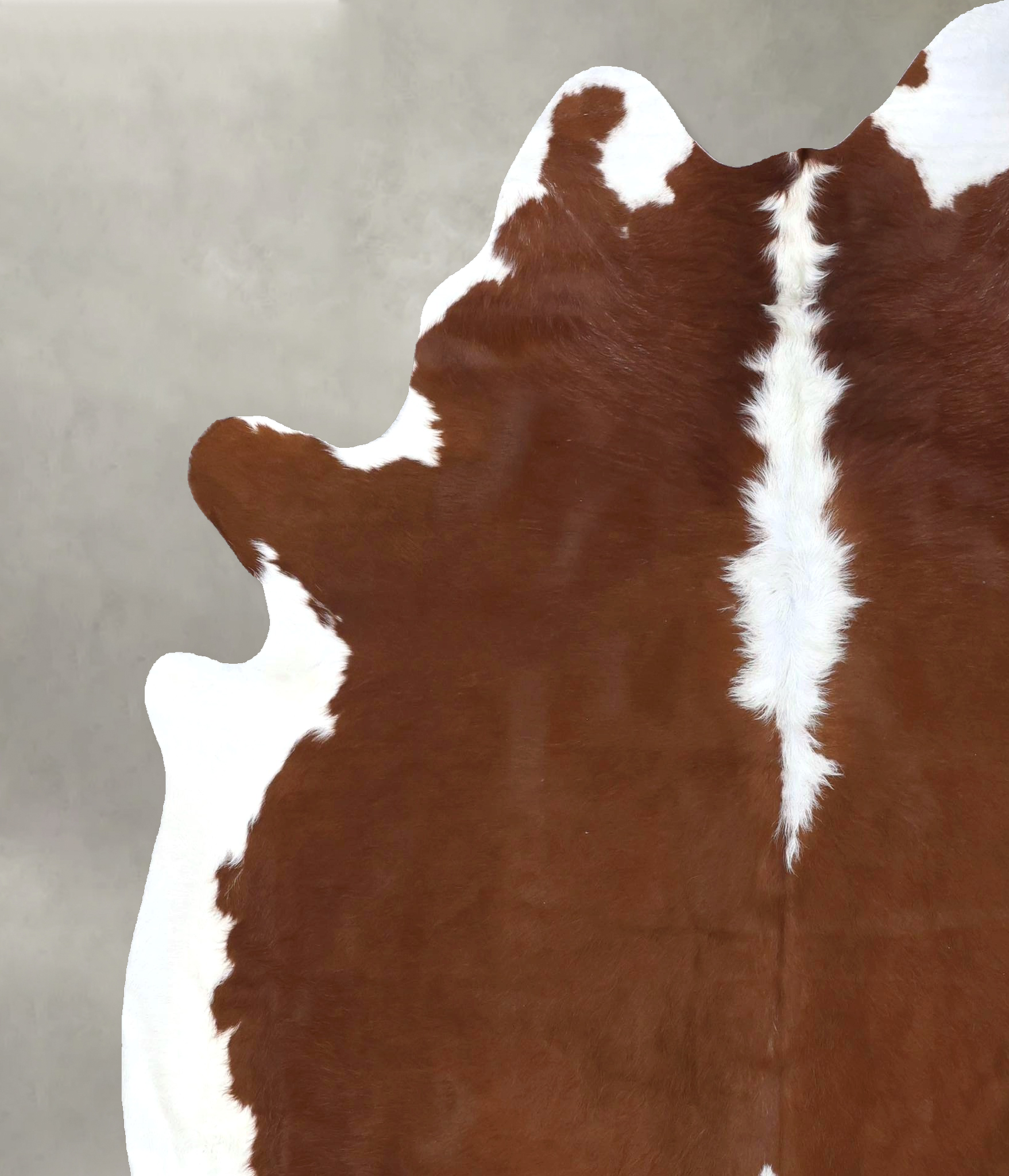 Hereford Cowhide Rug #B19305
