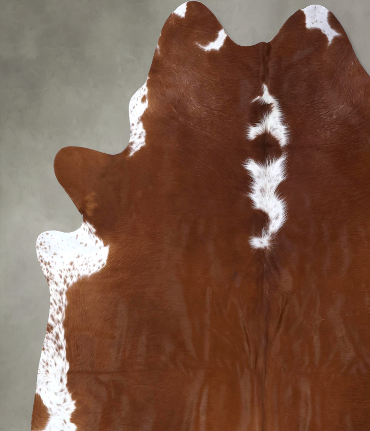 Hereford XX-Large Brazilian Cowhide Rug 8'6"H x 7'8"W #B19310 by Hudson Hides