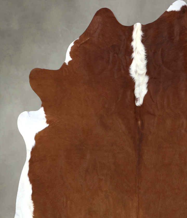 Hereford XX-Large Brazilian Cowhide Rug 7'11"H x 7'5"W #B19312 by Hudson Hides