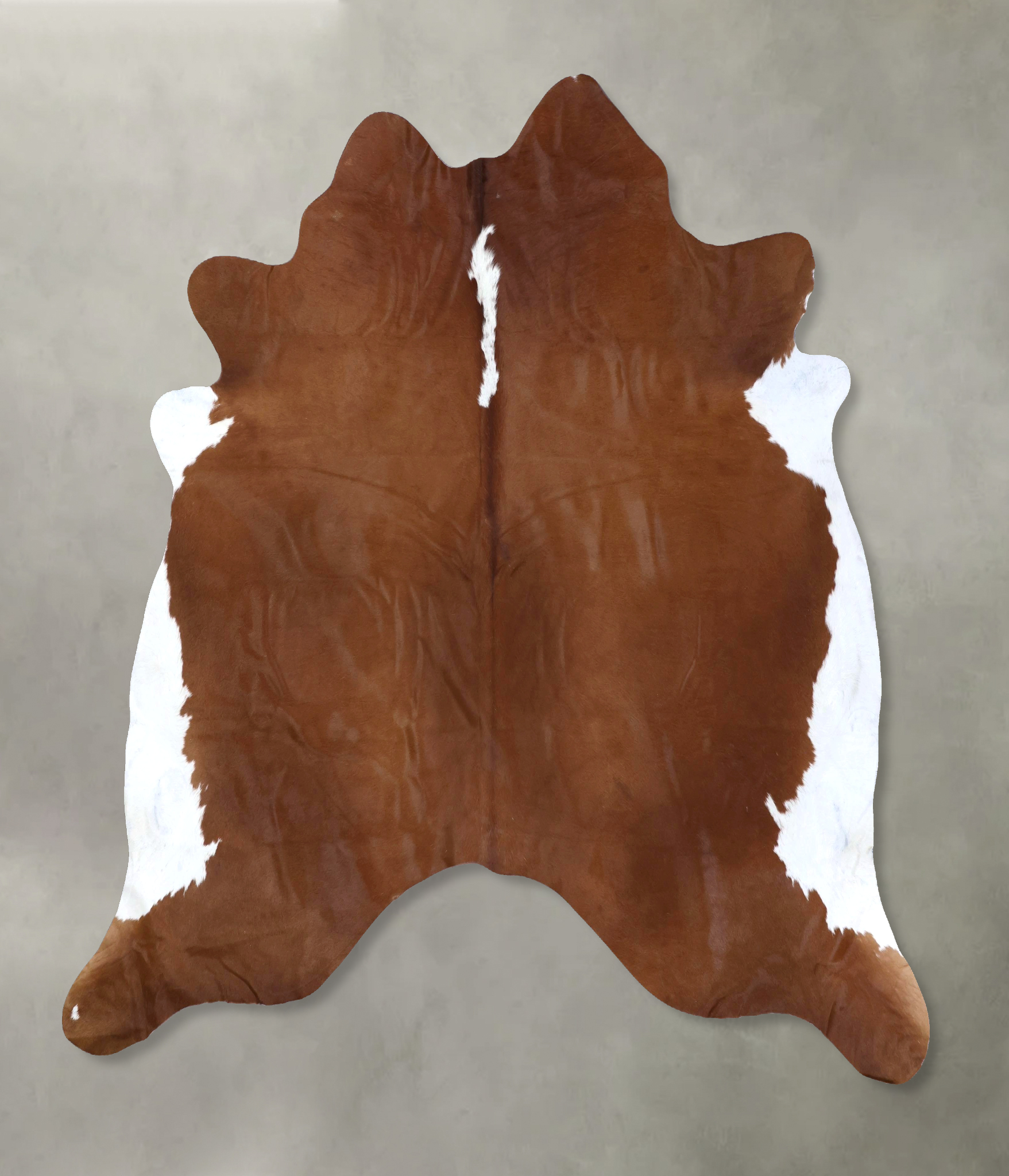 Brown and White Regular Cowhide Rug #B19314