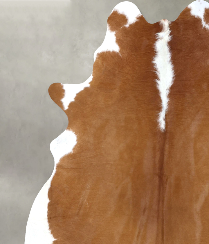 Hereford XX-Large Brazilian Cowhide Rug 7'11"H x 6'11"W #B19318 by Hudson Hides