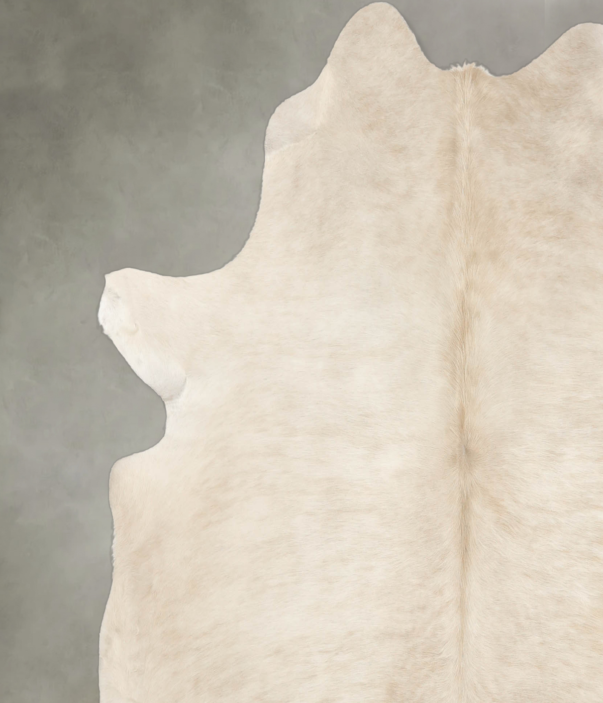 Champagne X-Large Brazilian Cowhide Rug 6'3"H x 6'5"W #B1932 by Hudson Hides
