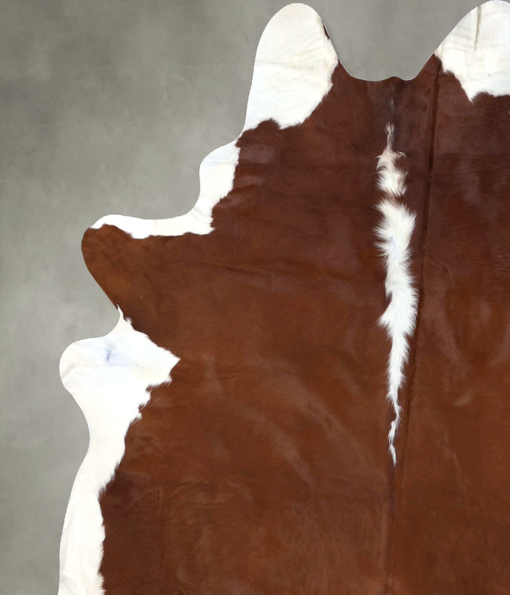 Hereford Cowhide Rug #B19324