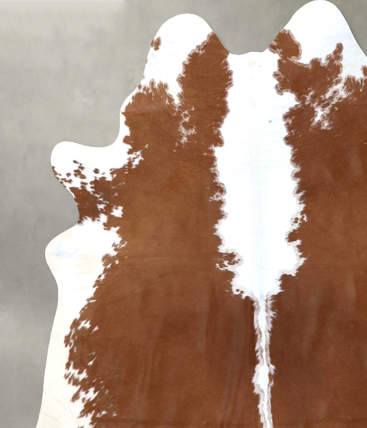 Brown and White Regular XX-Large Brazilian Cowhide Rug 7'11"H x 7'3"W #B19331 by Hudson Hides