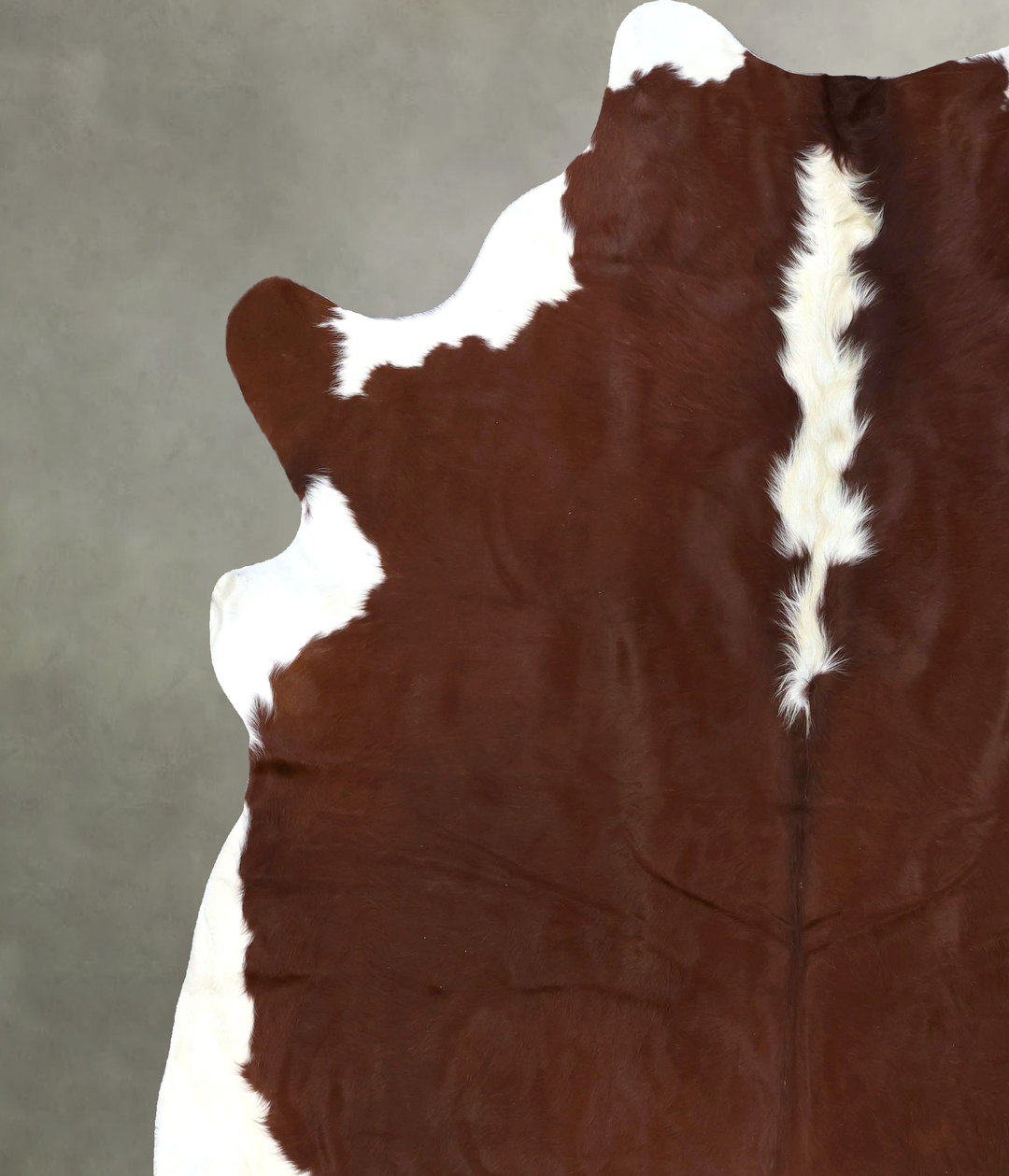 Hereford XX-Large Brazilian Cowhide Rug 8'6"H x 7'7"W #B19334 by Hudso