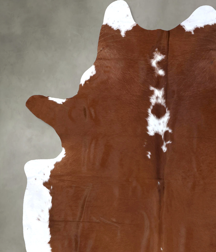 Brown and White Regular XX-Large Brazilian Cowhide Rug 8'8"H x 7'0"W #B19336 by Hudson Hides
