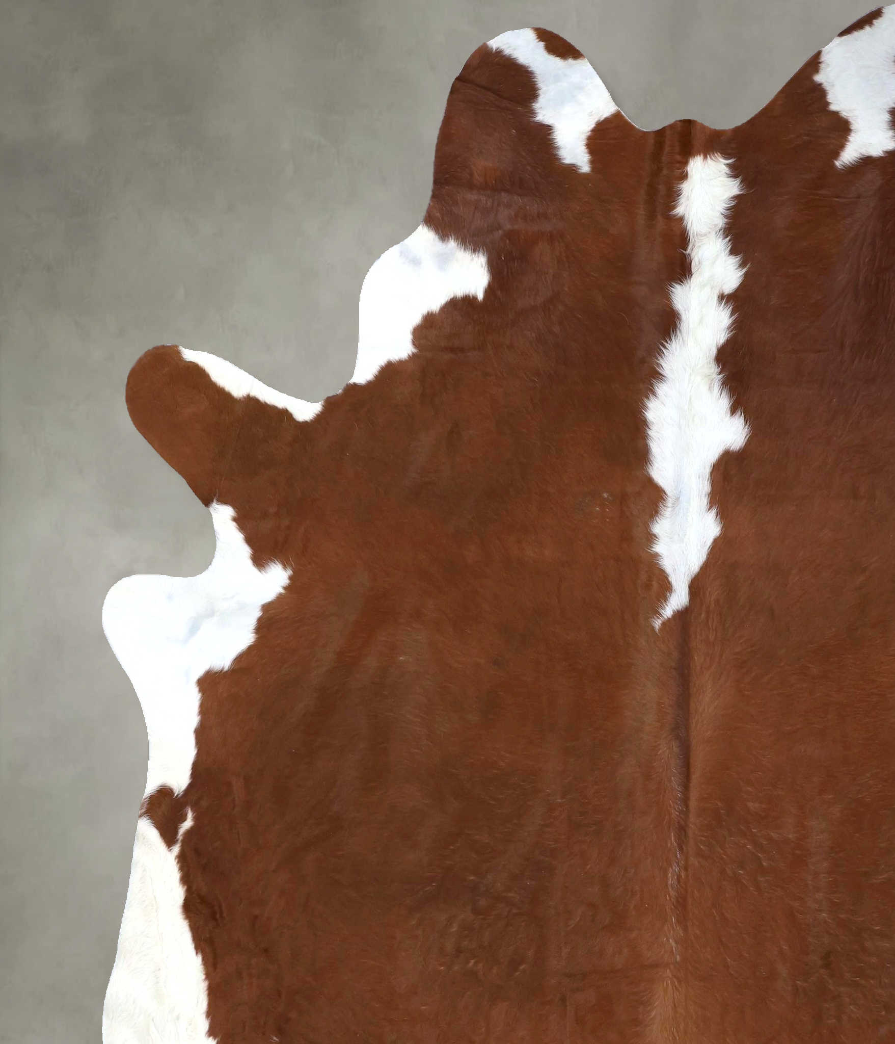 Hereford Cowhide Rug #B19337