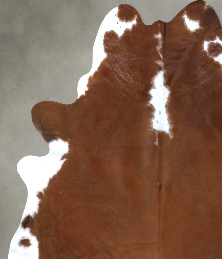 Brown and White Regular XX-Large Brazilian Cowhide Rug 8'1"H x 7'0"W #B19338 by Hudson Hides