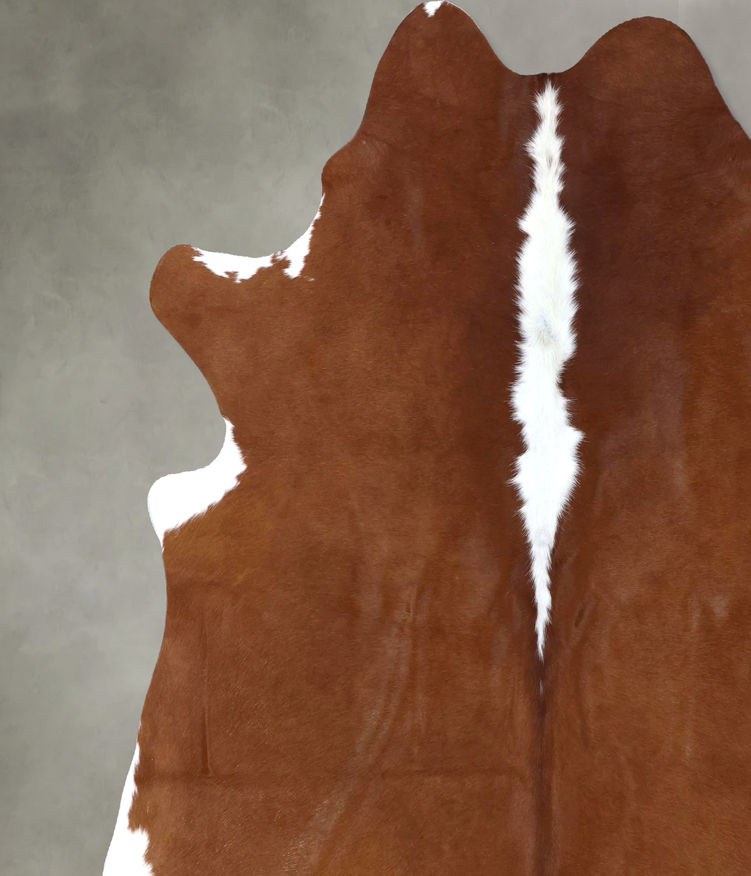 Hereford X-Large Brazilian Cowhide Rug 7'1"H x 6'11"W #B19342 by Hudso