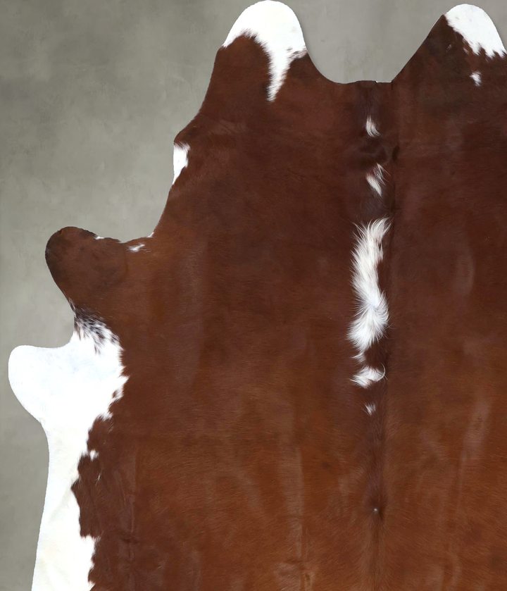 Brown and White Regular X-Large Brazilian Cowhide Rug 7'7"H x 6'2"W #B19344 by Hudson Hides