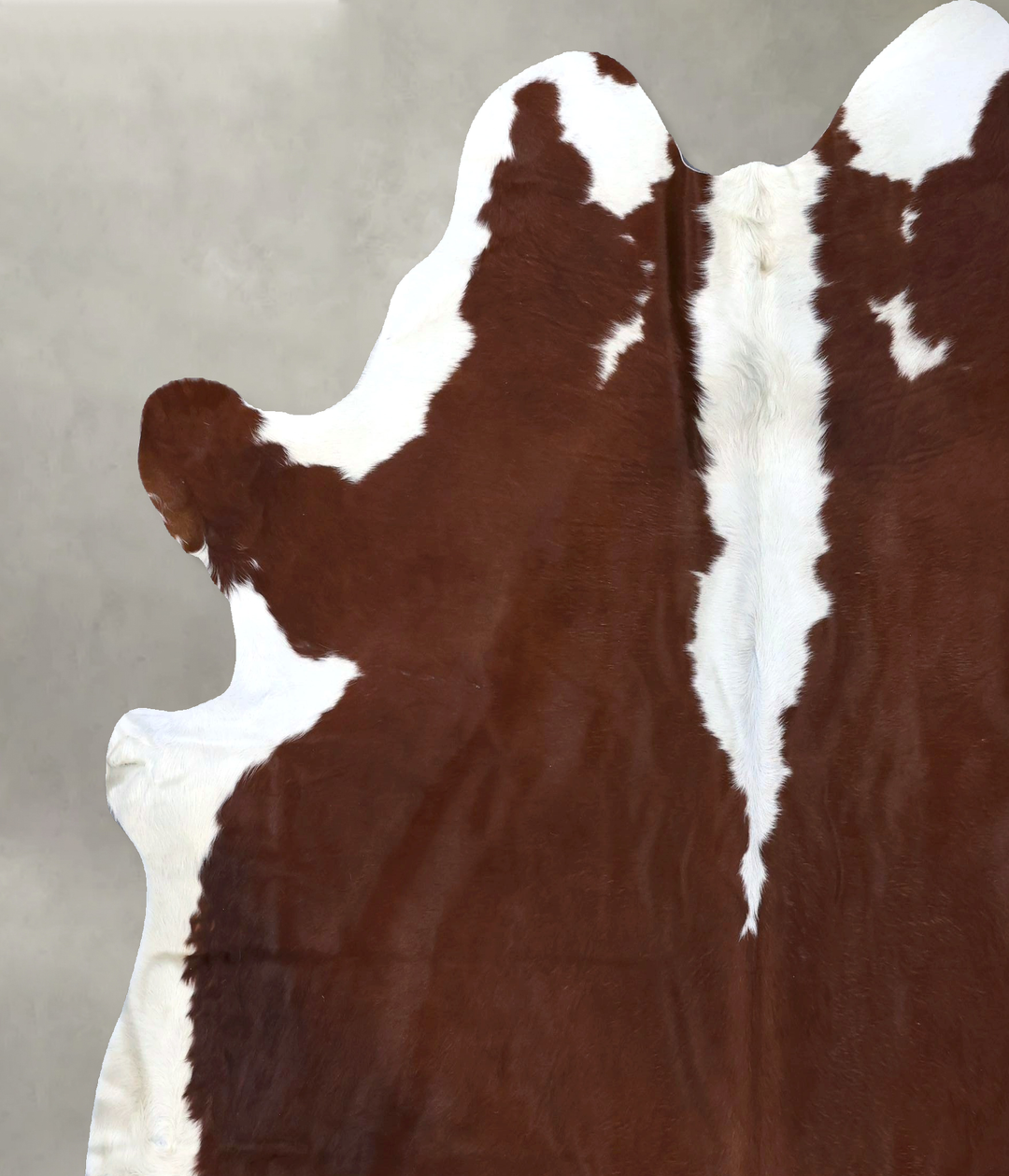 Hereford XX-Large Brazilian Cowhide Rug 7'11"H x 7'6"W #B19348 by Huds