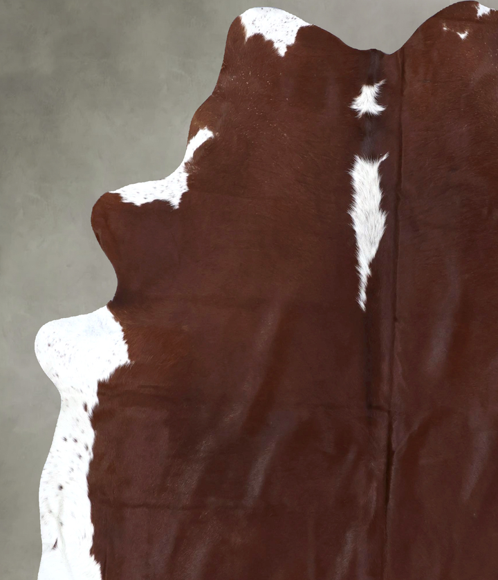 Hereford XX-Large Brazilian Cowhide Rug 7'9"H x 6'9"W #B19350 by Hudson Hides