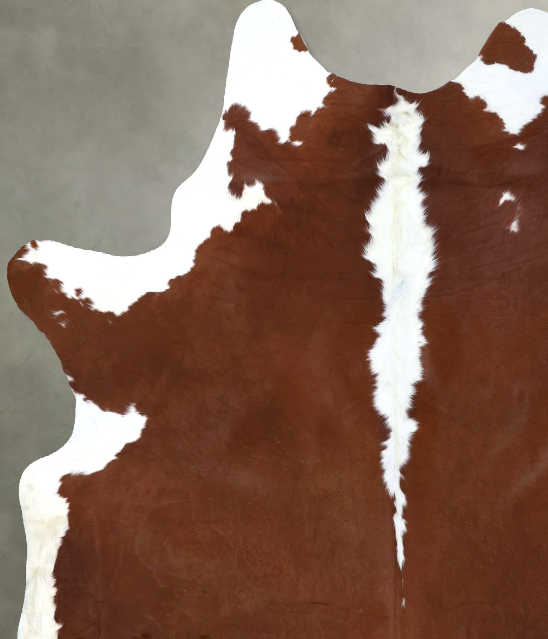 Brown and White Regular XX-Large Brazilian Cowhide Rug 7'9"H x 6'5"W #