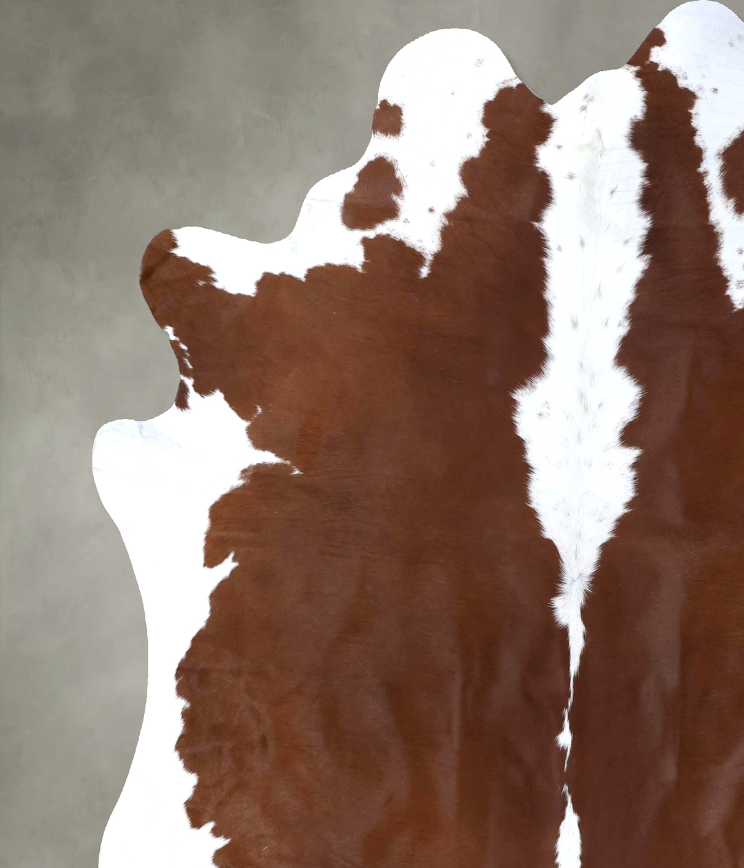 Brown and White Regular XX-Large Brazilian Cowhide Rug 8'2"H x 6'10"W 
