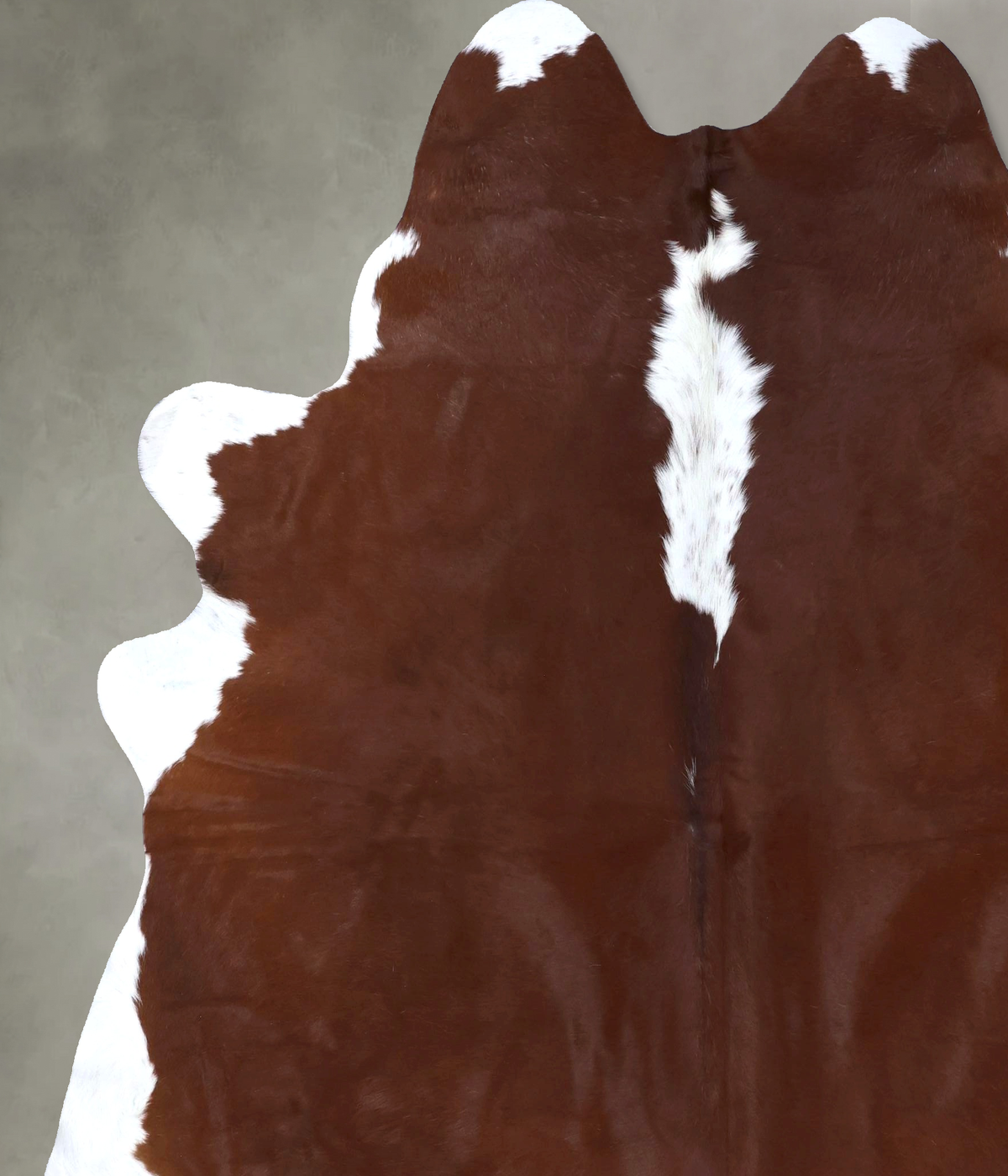 Hereford XX-Large Brazilian Cowhide Rug 7'10"H x 6'11"W #B19359 by Hudson Hides