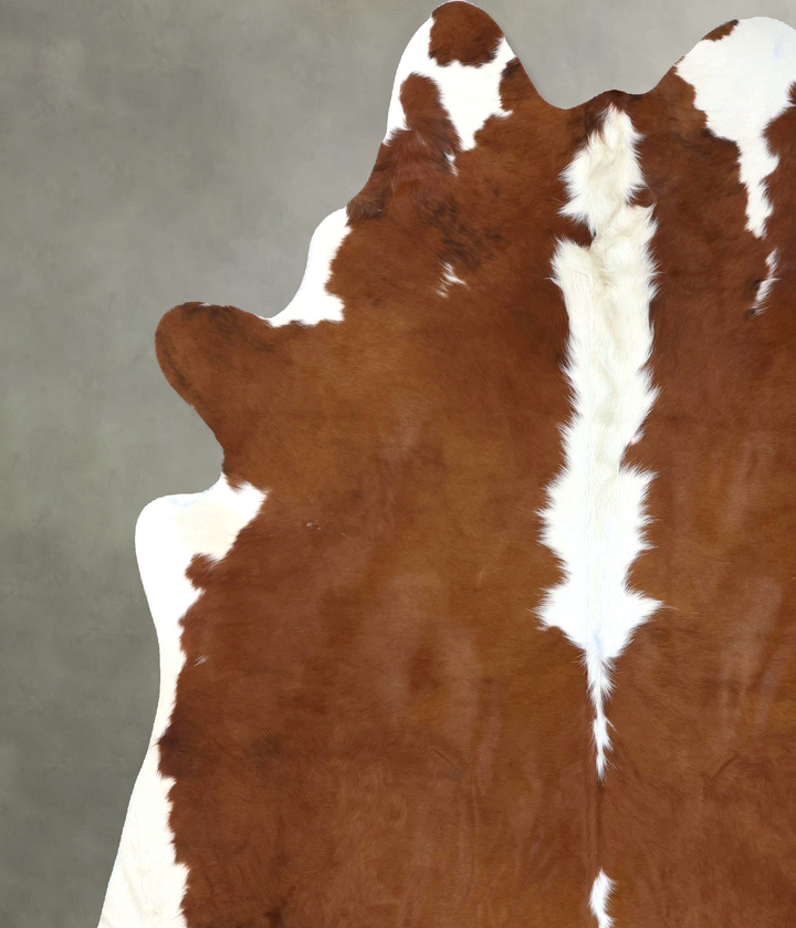 Brown and White Regular XX-Large Brazilian Cowhide Rug 8'1"H x 7'4"W #B19362 by Hudson Hides