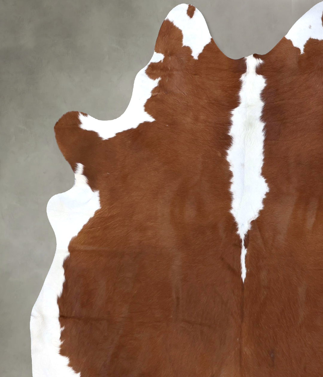 Hereford XX-Large Brazilian Cowhide Rug 7'10"H x 6'11"W #B19364 by Hud