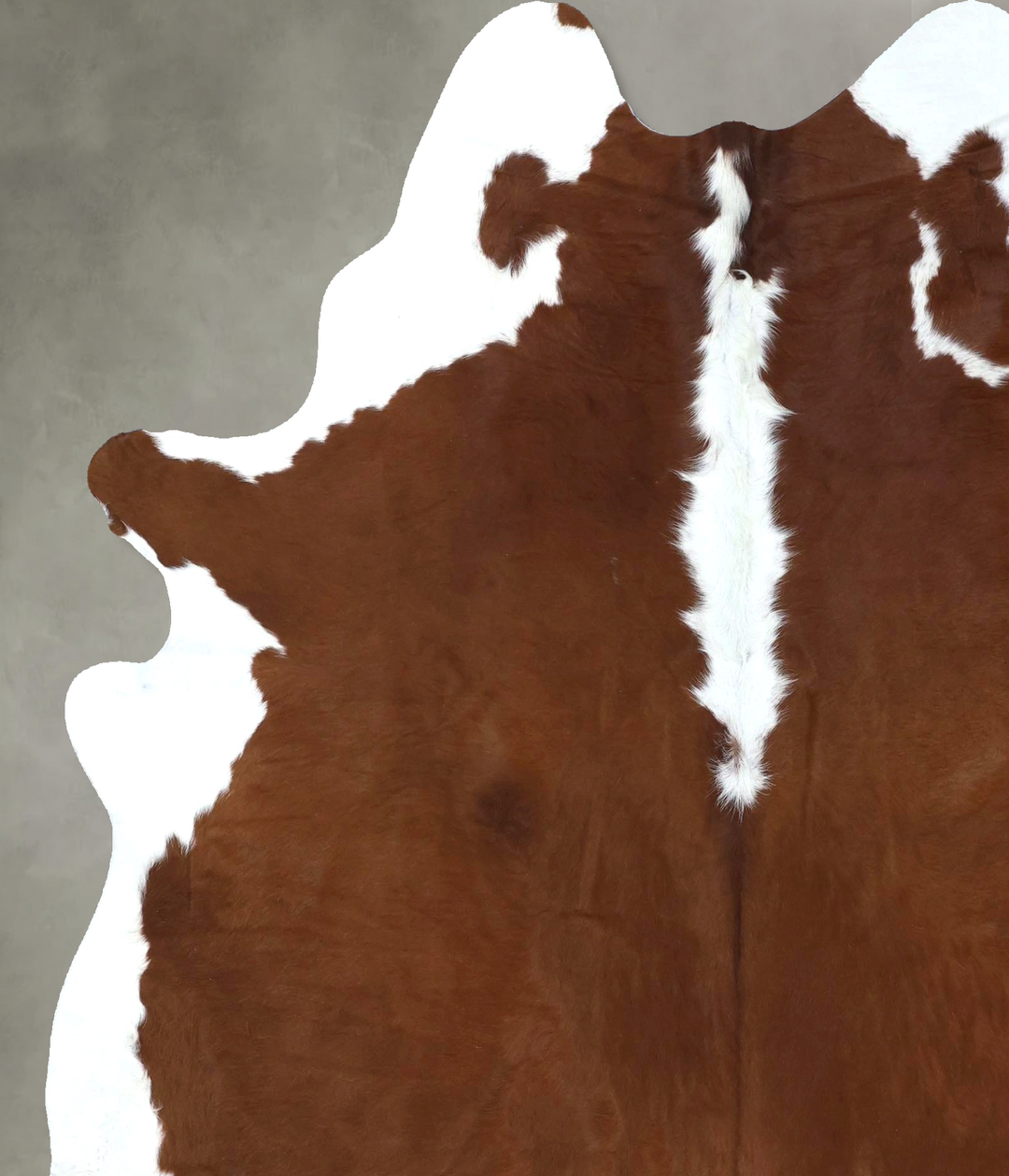 Hereford X-Large Brazilian Cowhide Rug 7'4"H x 6'3"W #B19371 by Hudson