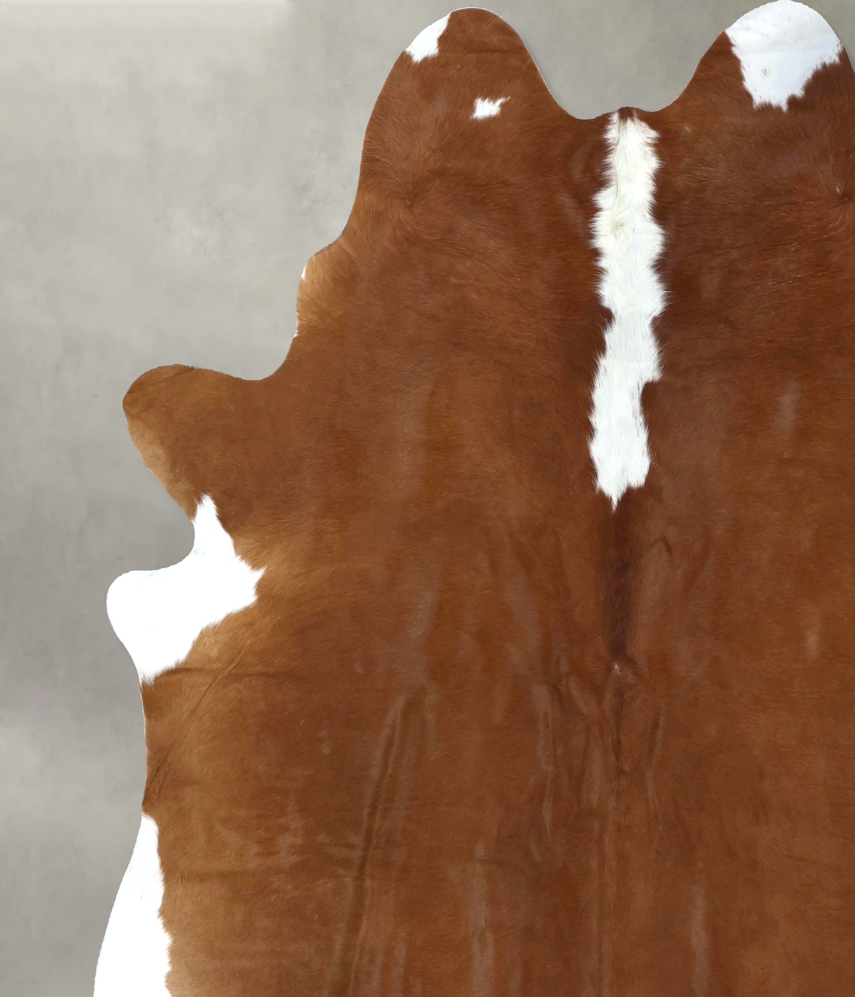 Hereford XX-Large Brazilian Cowhide Rug 8'2"H x 7'2"W #B19372 by Hudson Hides
