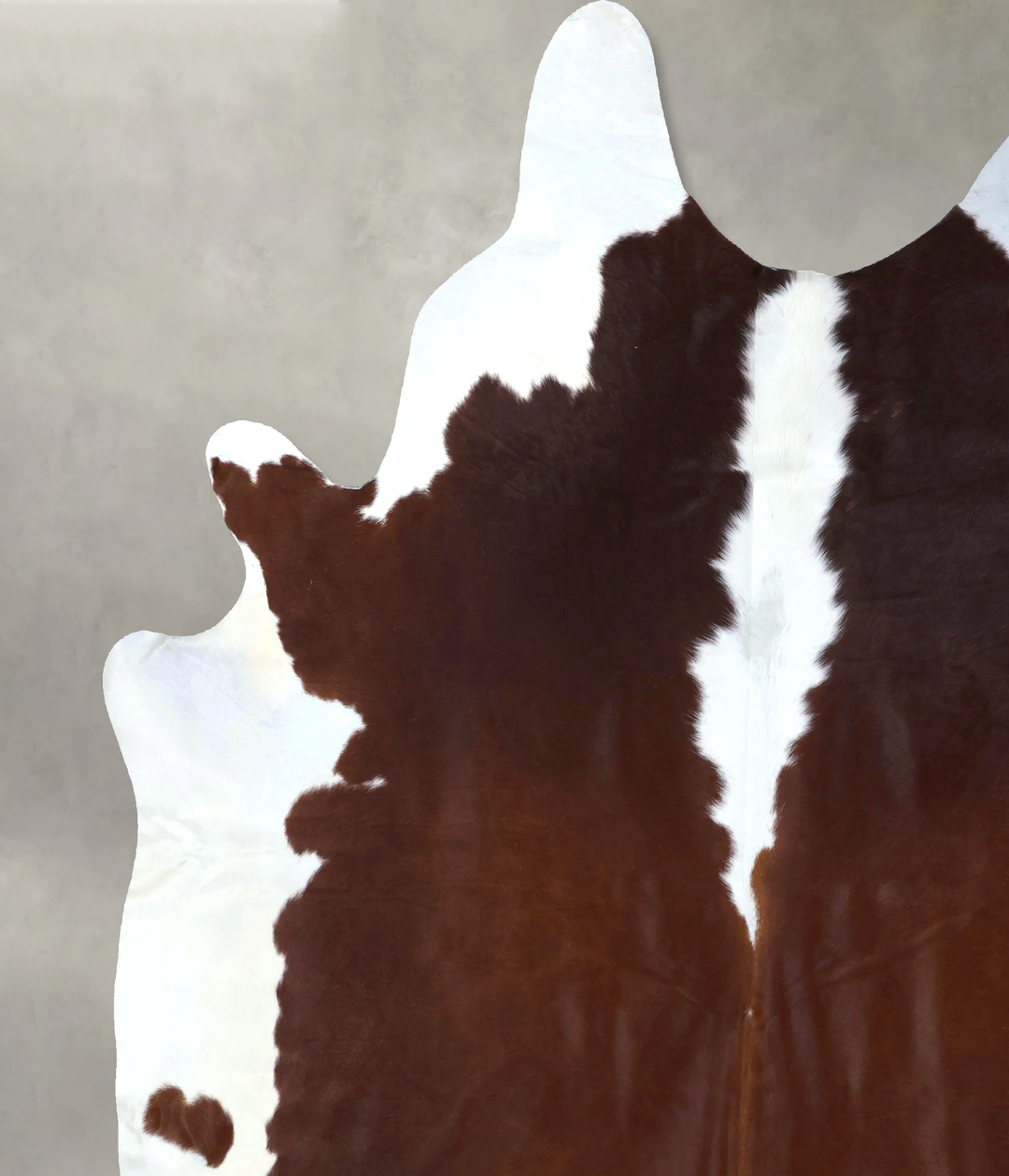 Brown and White Regular XX-Large Brazilian Cowhide Rug 8'7"H x 7'9"W #