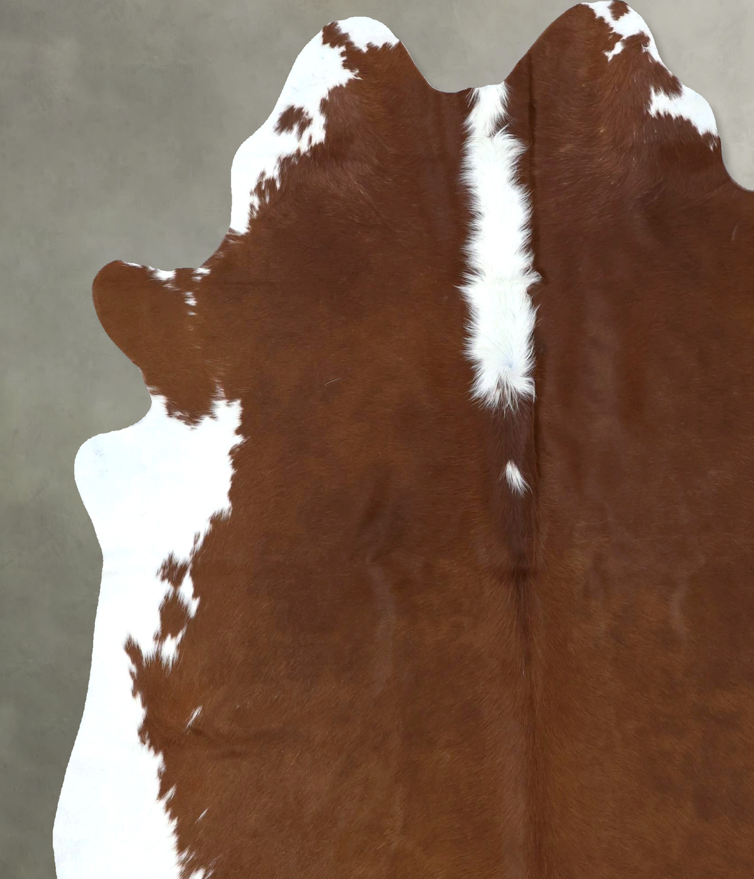 Hereford X-Large Brazilian Cowhide Rug 7'6"H x 6'7"W #B19376 by Hudson