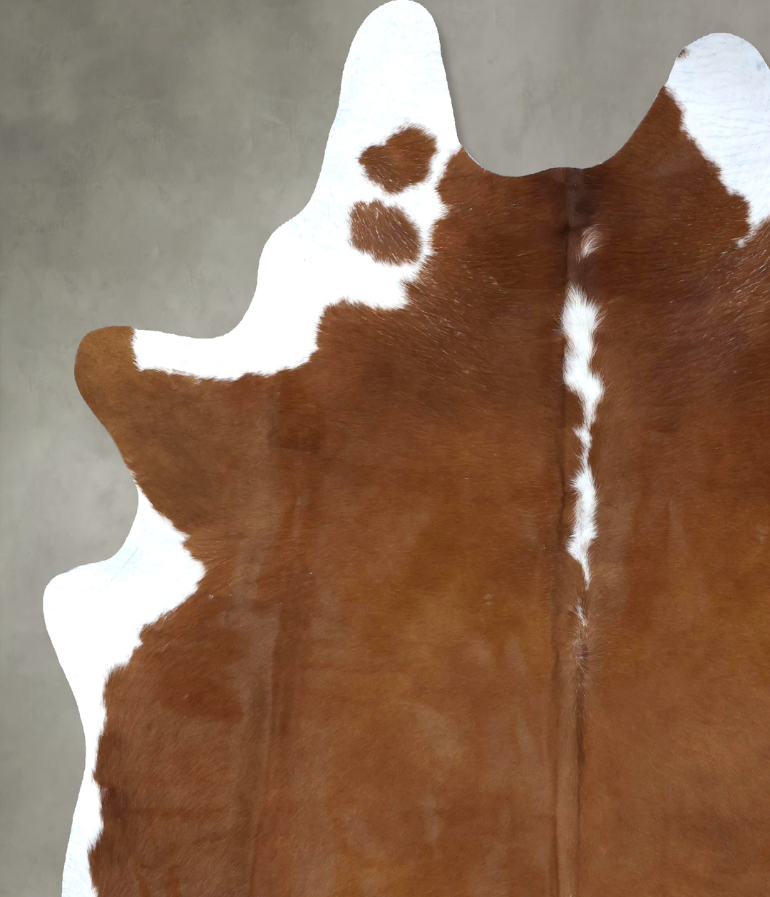 Hereford XX-Large Brazilian Cowhide Rug 8'2"H x 6'5"W #B19386 by Hudso