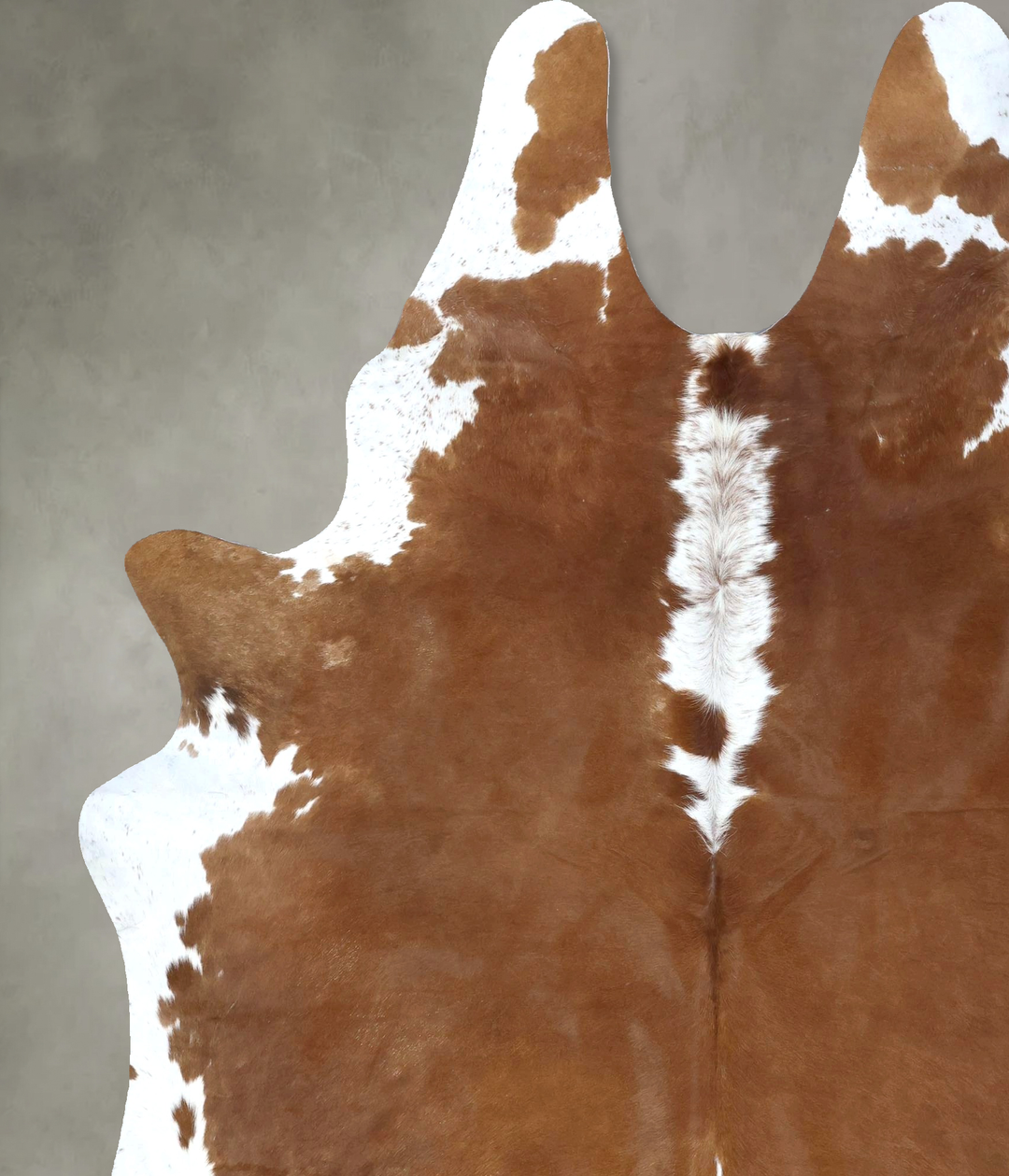 Brown and White Regular XX-Large Brazilian Cowhide Rug 8'2"H x 6'8"W #