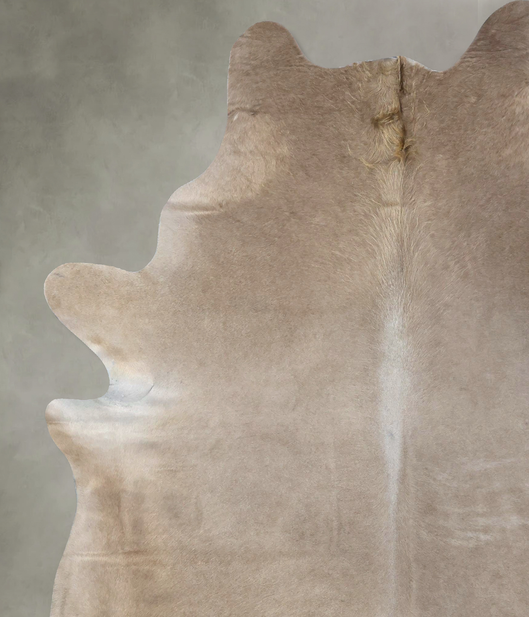 Champagne XX-Large Brazilian Cowhide Rug 8'5"H x 6'9"W #B19396 by Huds